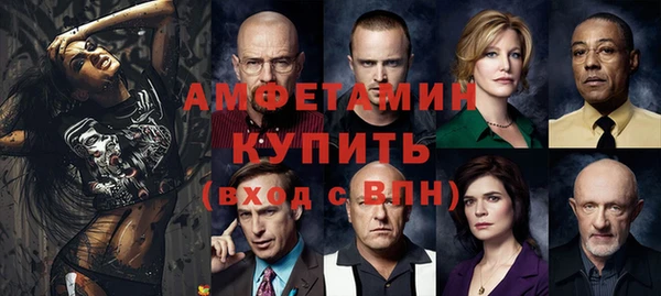гашик Алексеевка